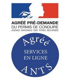 ANTS ANTS